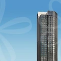 주식 종류와 투자 전략: 어떤 주식에 투자해야 할까?
