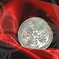 전기통신사업법 위반, 벌금과 대처 방법은? 💰