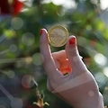 로봇관련주를 읽는 주요증시 트렌드와 투자 포인트