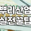 뿌리기업 확인서 발급 조건과 실무 신청 시 주의해야 할 매출 증빙 제한 사항