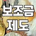 정부 보조금 신청 전 확인해야 할 현실적인 몇 가지