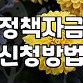 정부지원사업 신청 전 꼭 확인해야 할 현실적인 조건들