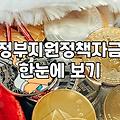 청년창업지원센터 입주 및 정부 지원금 신청 실무 조건