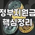 정부 보조금 신청부터 수령까지 실제로 거치는 단계별 절차