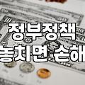 정부정책, 정말 믿고 따라가도 괜찮을까?: 현실적인 고민과 실무적 접근