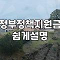 정부지원금 신청 전 확인해야 할 현실적인 준비 사항들