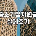 청년친화강소기업, 솔직히 이름만큼 다 좋을까? 현실적인 접근법
