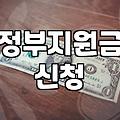 보조금, 꼼꼼히 따져보고 신청해도 결국 ‘케바케’인 이유