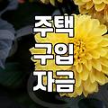 내 집 마련, 정부 주거지원 꼼꼼히 알아보기
