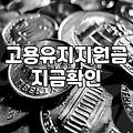 워라밸일자리장려금 활용 시 주의할 실무 조건들