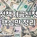놓치기 쉬운 정부지원금과 정책자금 활용할 때 기억할 것