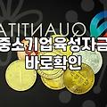 중소기업정부지원금 신청 자격과 실질적인 선정 확률 높이는 법