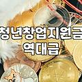 청년창업지원 신청 자격과 연령별 지원 금액 기준