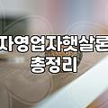 저금리 개인사업자 대출, 현실에서 마주하는 딜레마와 타협점