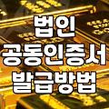 법인 사업자를 위한 공동인증서 발급과 관리 실무