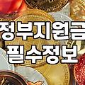 정부 보조금, ‘언젠가’ 받겠지 했다가 놓친 경험담