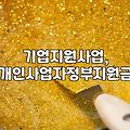 벤처기업 인증, 진짜 도움이 될까? 직접 경험한 솔직 후기