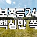 정부 보조금 정보 확인하고 놓치지 않는 법