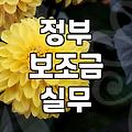 보조금, 엑셀 시트 뒤의 현실과 ‘공짜 점심’의 함정