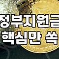 정부정책 확인하는 방법과 실질적인 자격 요건