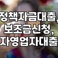 정부 지원 사업, ‘묻지마 신청’은 금물: 실질적인 도움을 받는 현실적인 접근법