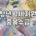 청년 월세 지원 사업 신청 전 꼭 따져봐야 할 중복 수혜 조건