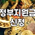 정부 지원금, 묻지도 따지지도 말고 신청부터 해보세요. (현실적인 조언)