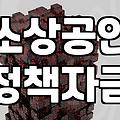 개인사업자정책자금 신청 전 반드시 확인해야 할 기본 요건과 대출 한도