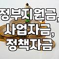 정부 보조금, ‘묻지마 신청’은 금물: 경험자가 말하는 현실적인 고려사항