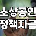 개인사업자정부지원금 신청 자격과 실질적인 자금 확보 방법