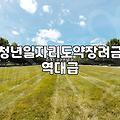 청년정부지원금 신청 자격과 유형별 핵심 요건