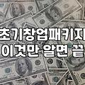 초기 창업, 정부지원금은 ‘보험’일까 ‘독’일까: 현실적인 고민들