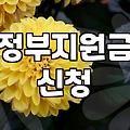 보조금 신청 조건과 현금 지급 시기 확인하는 방법