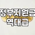 보조금 신청 전 확인해야 할 주요 조건과 신청 절차