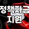 정부정책 혜택 확인 시 주의해야 할 점과 실제 활용 방법