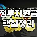 보조금 수령 시 반드시 확인해야 하는 자격 요건과 주의사항
