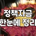 정부 정책자금과 보조금, 꼼꼼하게 따져본 현실적인 선택