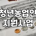 청년농업인 대출, 처음엔 나라에서 다 되는 줄 알았는데…