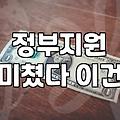 정부지원 정책, 무작정 따라가기 전에 고민해야 할 것들