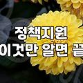복지혜택, 남들 다 받는다고 쫓아다니다 지치는 이유