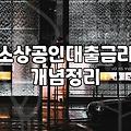 청년 사업자 대출, 현실적인 조언과 고민의 기록
