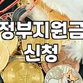 복지혜택 신청 시 놓치지 말아야 할 자격과 확인 절차