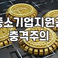 정책자금컨설팅 실제 비용과 신청 성공률을 결정하는 핵심 요소