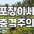 이사 준비, 업체 선정 전 꼭 알아야 할 것들