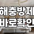 집안 곳곳에서 나타나는 벌레 원인과 대처하는 과정