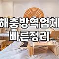 쥐방역업체 비용과 현장 방문 시 결정되는 기준