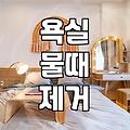 화상실청소 효율 높이는 세제 선택과 오염 제거 순서