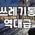 대형 쓰레기통, 실패 안 하고 고르기: 현실적인 경험담