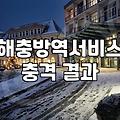 모기방역업체 비용과 현장 소독을 결정하는 요인
