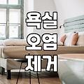 화상실청소 비용과 작업 범위 및 효과적인 관리 기준